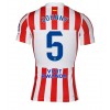 Herren Fußballbekleidung Atletico Madrid Johnny Cardoso #5 Heimtrikot 2025-26 Kurzarm